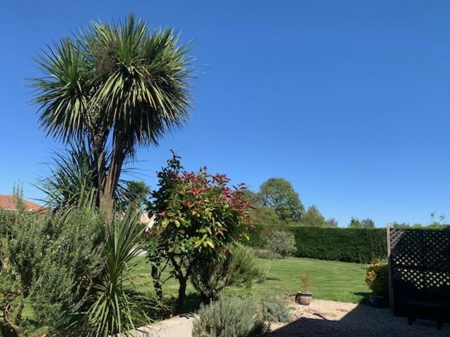Bed and Breakfast Les Glycines Saint Gaudens Exterior foto